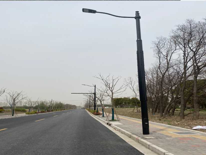 公主岭市上海综合杆 太阳能路灯工程